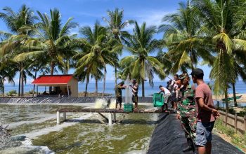Desa Tolotio, Kecamatan Bonepantai, menjadi sorotan dengan keberhasilan budidaya udang vaname yang menghasilkan.