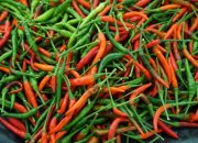 Harga Cabe Rawit Turun Drastis, Cabe Keriting Fluktuatif
