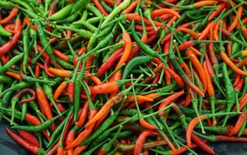 chilies-g62cf47796_1280