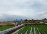 Gorontalo Akan Menjadi Tuan Rumah Pekan Nasional Tani Nelayan