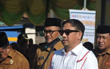 BUPATI HAMMIM