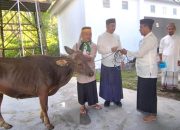 Jumlah Hewan Kurban di Bone Bolango Capai 1.245 Ekor