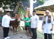 Idul Adha Tahun Ini, Polda Gorontalo Potong 75 Ekor Hewan Kurban