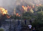 Kalsel Berjuang Hadapi Karhutla, 42 Hektare Lahan Terbakar