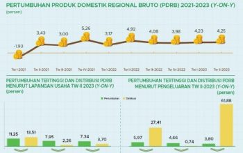 Illustrasi, Data BPS