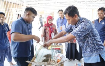 ikan3