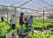 Forum DAS Gorontalo Bantu Kelola Kebun Bibit Rakyat