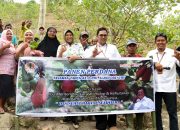 Program RHL Agroforestri di Gorontalo ‘Berbuah Manis’