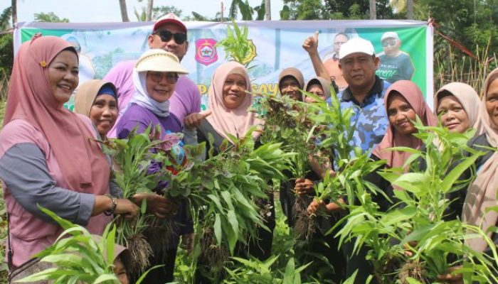 Merlan Ajak Emak-Emak Manfaatkan Lahan Pekarangan
