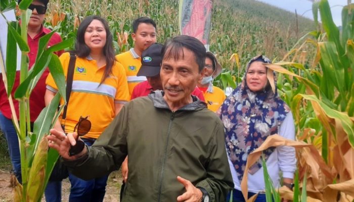 Expo Usaha Tani Jagung: Bupati Nelson Tekankan Pertanian Berkelanjutan di Gorontalo