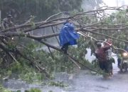 Angin Kencang Rusak Beberapa Rumah di Kecamatan Tolinggula, Akses Jalan Sempat Terhambat