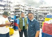 Bupati Rum Pagau Pastikan Pemasaran Kelapa Sawit Petani Boalemo Melalui PT. Agro Artha Surya
