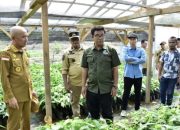 Program Kakao Burung Indonesia Jangkau 11 Desa di Pohuwato