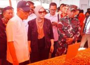 Pemkot Gorontalo Pastikan Tidak Ada Kelangkaan Bapok