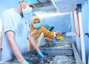 Wagub Gorontalo Dorong Ahli Gizi Ciptakan 30 Menu MBG untuk Anak Sekolah
