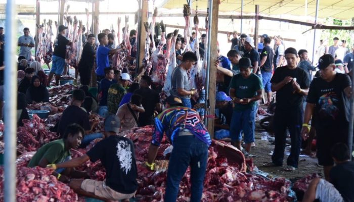 Konsisten 10 Tahun Berkurban, Pengusaha Lokal Ini Sembelih 101 Sapi di Gorontalo