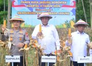 Ribuan Hektar Lahan Tak Terpakai di Gorontalo Diusulkan Jadi Kebun Jagung
