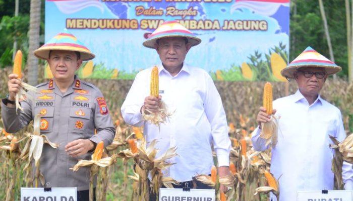 Ribuan Hektar Lahan Tak Terpakai di Gorontalo Diusulkan Jadi Kebun Jagung