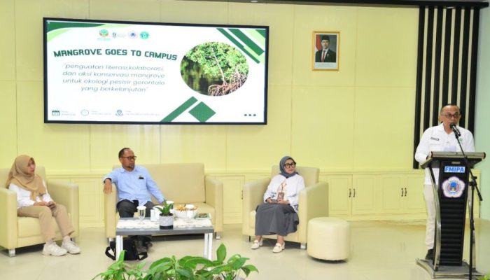KKMD Gorontalo: Kerusakan Mangrove Capai 13 Ribu Hektare