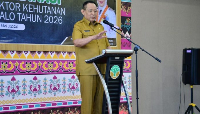 Mengkhawatirkan, Lahan Kritis Gorontalo Melonjak 40 Persen dalam Empat Tahun