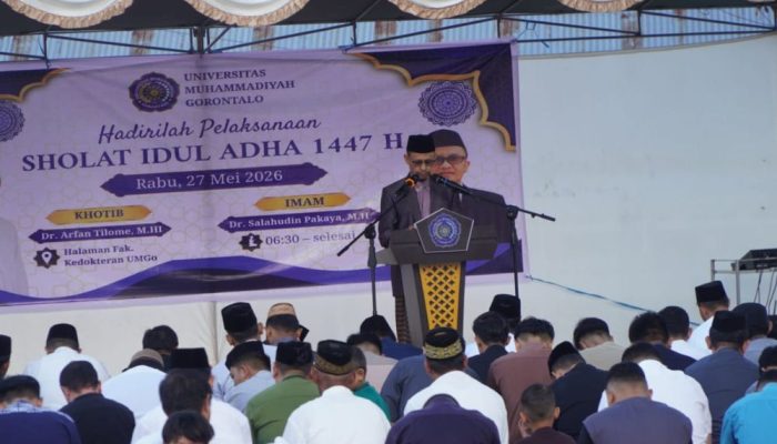 UMGO Kurbankan 43 Ekor Sapi pada Idul Adha 1447 H