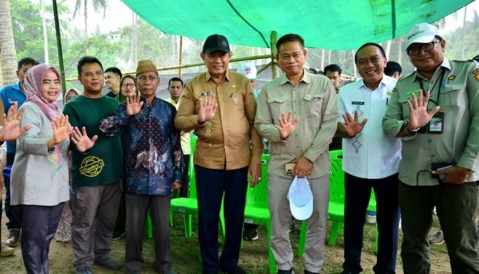 Kementan Salurkan 737 Ribu Bibit Kelapa untuk Petani Gorontalo, Garap 10 Ribu Hektar Lahan