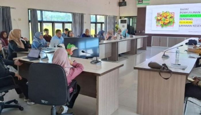 Dinkes Gorontalo Susun Pergub Sistem Rujukan Kesehatan