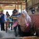 UMGO Kembangkan Gula Aren Lewat Jejaring Akademik Internasional