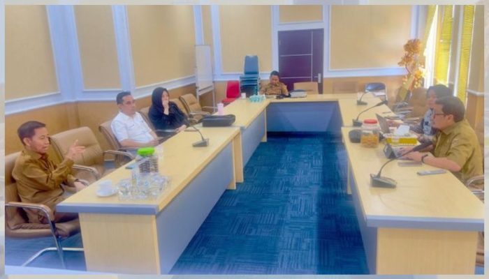 Menuju RSPPU, Pemprov Gorontalo Mulai Benahi Kesiapan RSUD Ainun Habibie