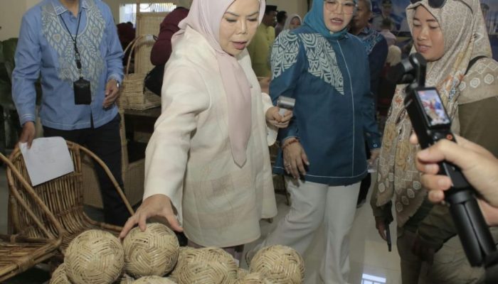 Desa Luwoo Jadi Desa Kreatif Digital, Idah Minta Kerajinan Lokal Terus Berinovasi