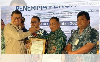 Ichsan Budiman Wantogia