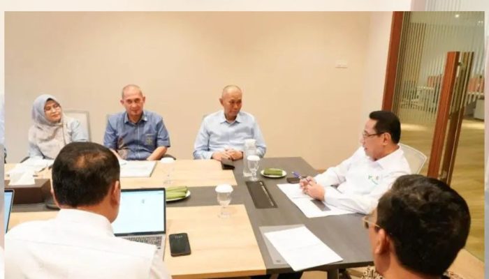 Kemenkes Siapkan Rp 100 M untuk RSUD Aloei Saboe, Ini Syaratnya