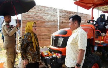 Idah Syahidah