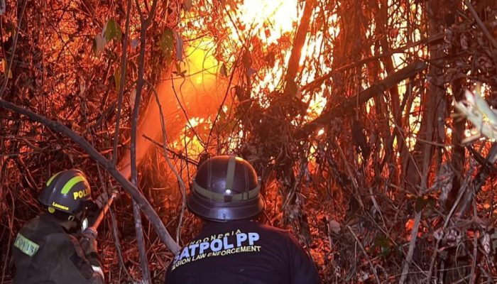 Berjibaku 9 Jam! Dramatisnya Pemadaman Kebakaran di Gunung Tolomato