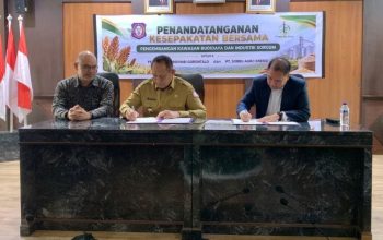Gusnar Desak Tindak Lanjut MoU Sorgum, Tiga Hal Ini Harus Tuntas