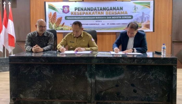 Gusnar Desak Tindak Lanjut MoU Sorgum, Tiga Hal Ini Harus Tuntas