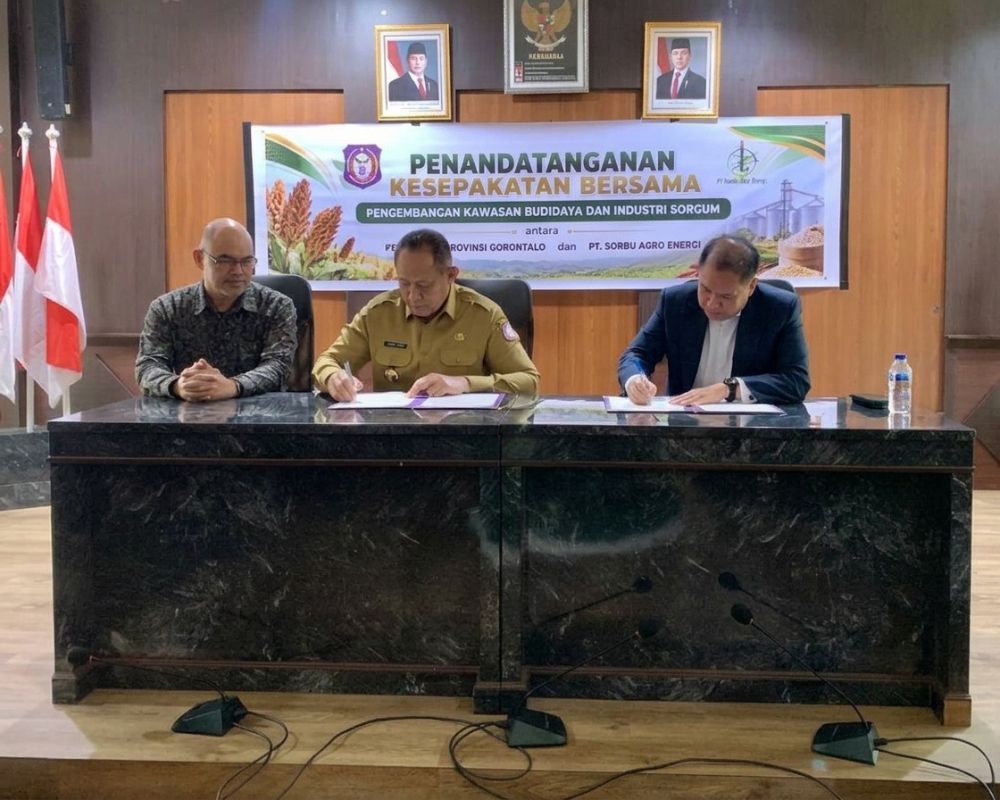 Desain tanpa judul 131