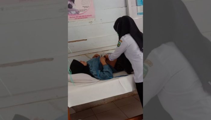 Kematian Ibu Hamil Provinsi Gorontalo Capai 32 Kasus, Ini Penyebab Utamanya