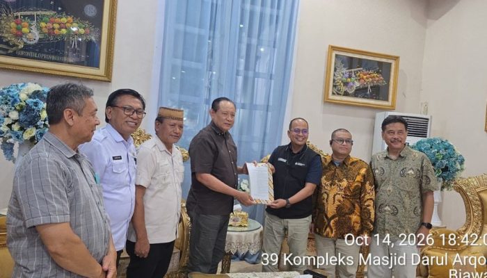 Bantu Petani! Proyek Hilirisasi Ayam Gorontalo Siap Serap Hasil Panen Jagung Lokal