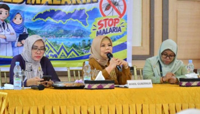 Wagub Idah Resah Kasus Malaria Naik Tiap Tahun, Minta Dinas Terkait Lakukan Penyelarasan Program Pencegahan